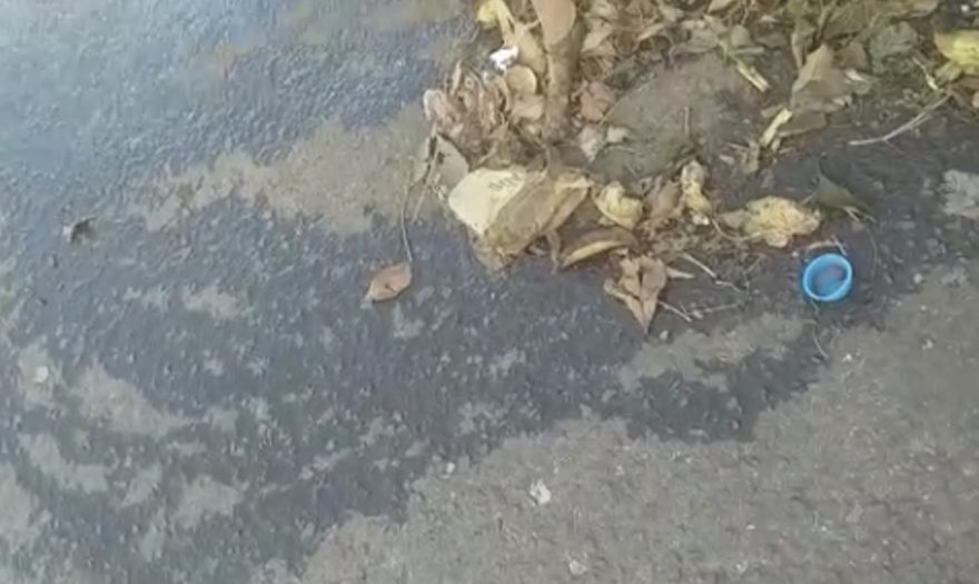 Moradores reclamam de mau cheiro causado pelo vazamento de esgoto