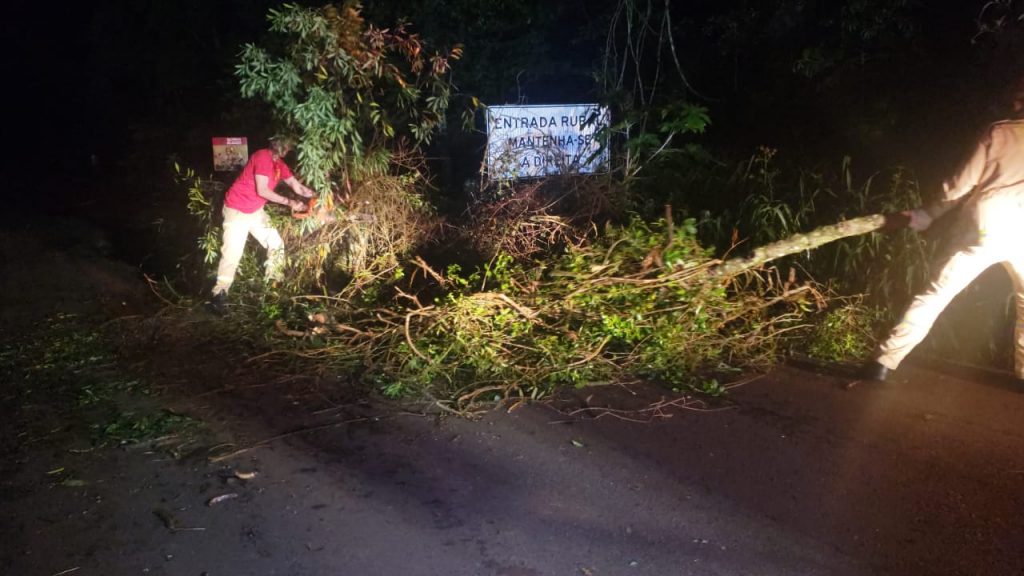 Queda de árvore interdita Estrada Rio da Paz e Corpo de Bombeiros é acionado