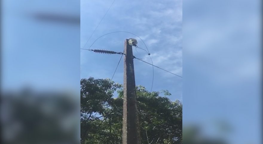 Fio de luz arrebentado na Linha Esperança, em Catanduvas, traz prejuízo a produtores