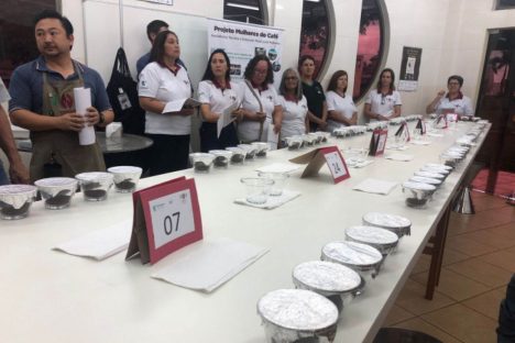 Imagem referente a Mulheres de Tomazina, Joaquim Távora e Pinhalão vencem competição de produtoras de café