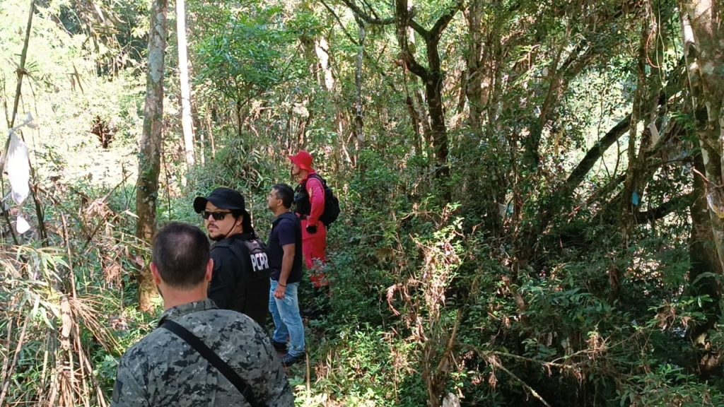 Bombeiros fazem buscas com cães farejadores para localizar jovem que está desaparecido