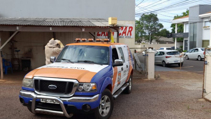 Enxame de abelhas é retirado pela Defesa Civil no Bairro Neva