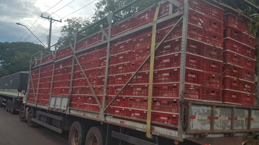 Após furtar frangos de caminhão da empresa, homem é detido