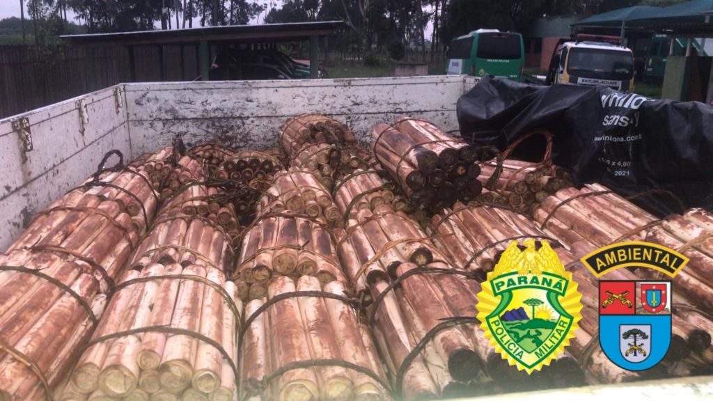 Carga ilegal de palmito é apreendida e multa de R$ 756 mil é aplicada a indivíduo pela Polícia Ambiental