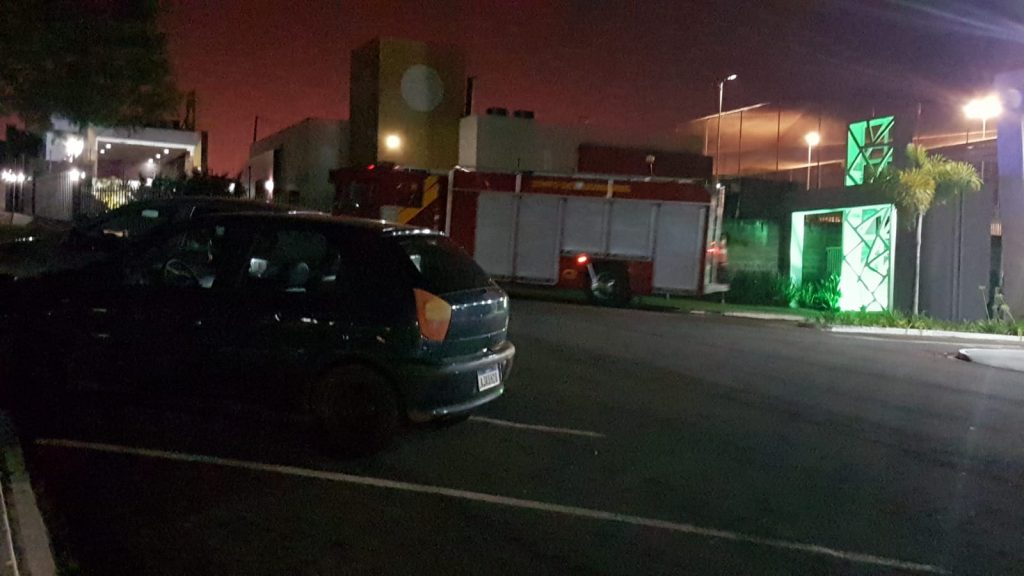 Bombeiros são acionados para recolher cobra pequena