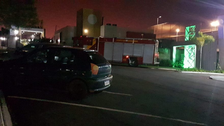Bombeiros são acionados para recolher cobra pequena
