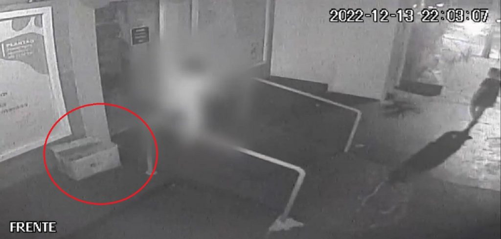 Mulher e criança são flagrados abandonando filhotes de cachorro em São Miguel do Iguaçu Mulher e criança são flagrados abandonando filhotes de cachorro em São Miguel do Iguaçu