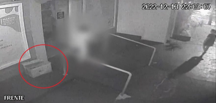 Mulher e criança são flagrados abandonando filhotes de cachorro em São Miguel do Iguaçu
