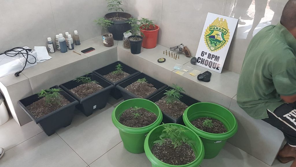 Homem é preso com maconha e arma de fogo em Cascavel