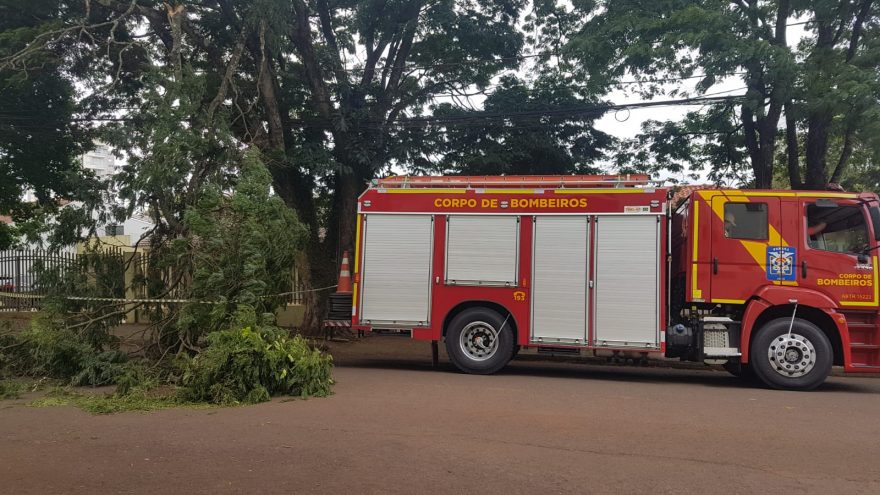 Galho de árvore cai no meio da rua no Bairro São Cristóvão