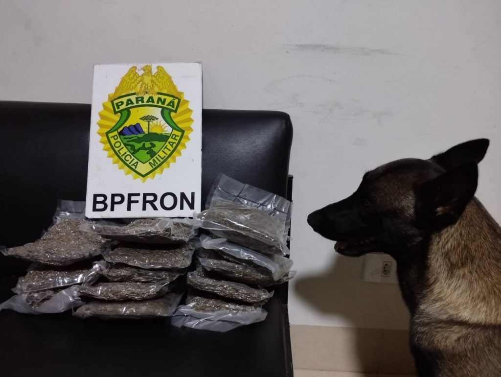 Com ajuda de cão, BPFron apreende drogas em ônibus em Umuarama