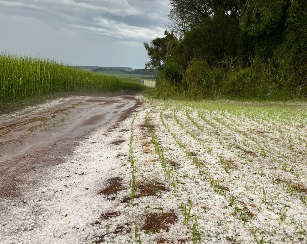Granizo destrói lavouras no município de Renascença