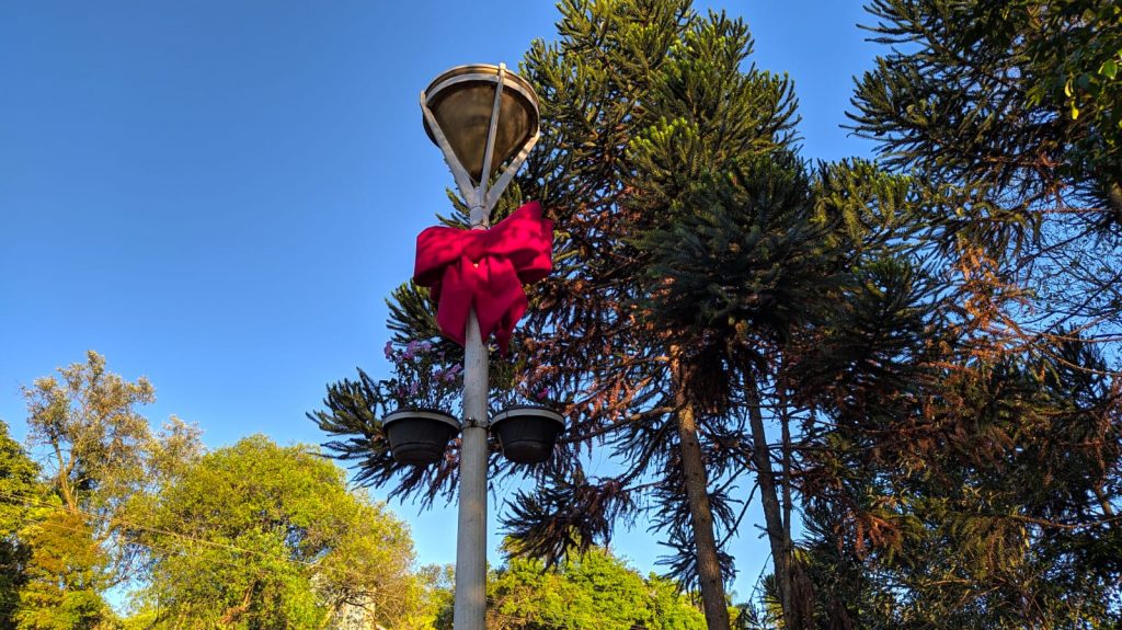 Terça-feira deve ser ensolarada com máxima de 26°C em Cascavel