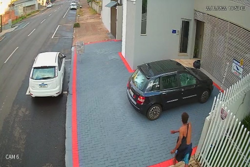 Homem atira pedra em carro, na direção de cachorro que estava dentro, e furta JBL