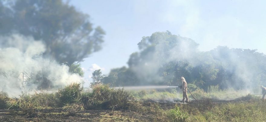 Bombeiros combatem incêndio em vegetação no XIV de Novembro