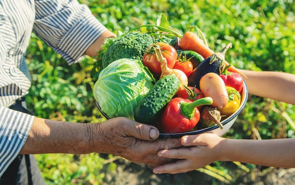 Prefeitura cadastra agricultores familiares para participar do Programa Municipal de Aquisição de Alimentos