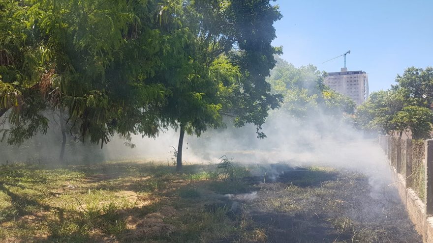 Fumaça de incêndio em vegetação incomoda vizinhos no Cancelli