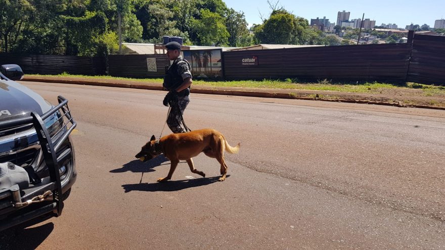 PM e Civil realizam buscas por arma de policial que teria sido jogada em área de mata
