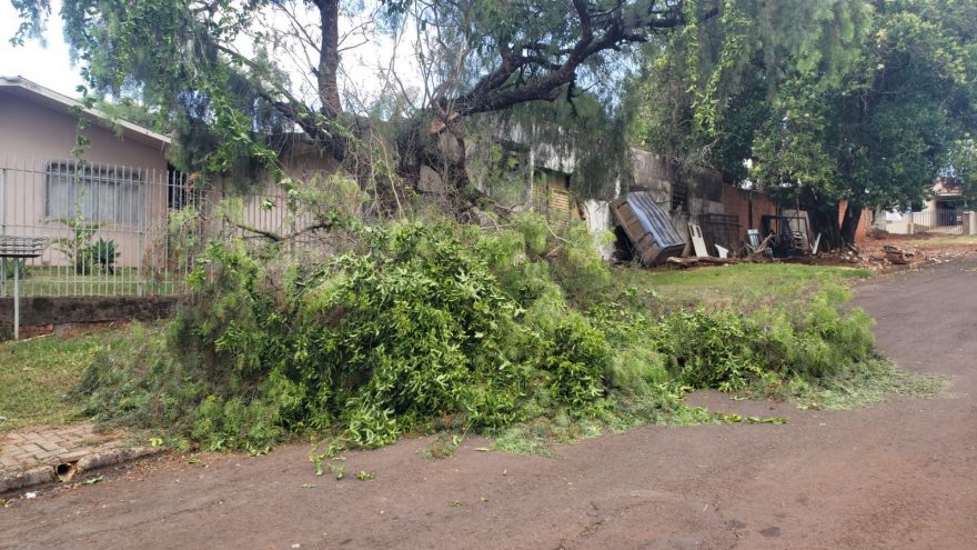 Queda de árvore deixa via e calçada interditada no Parque São Paulo