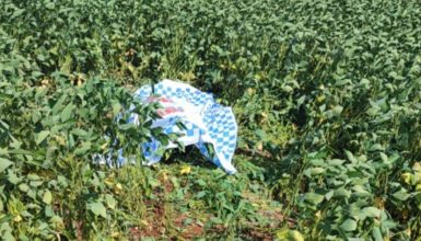 Imagem referente a Corpo de homem é encontrado em estrada rural próximo de Santa Tereza do Oeste