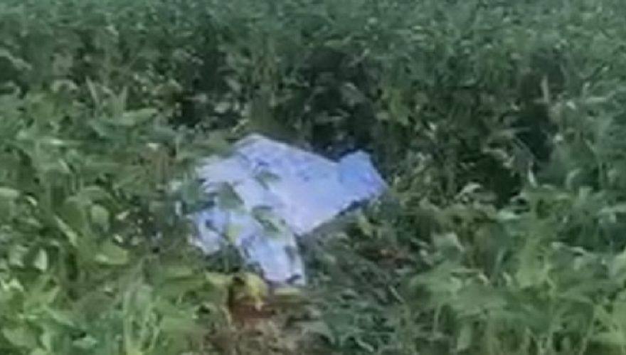 “Meu irmão está aqui jogado no meio do mato, a gente não pode fazer nada” diz irmã de homem encontrado morto