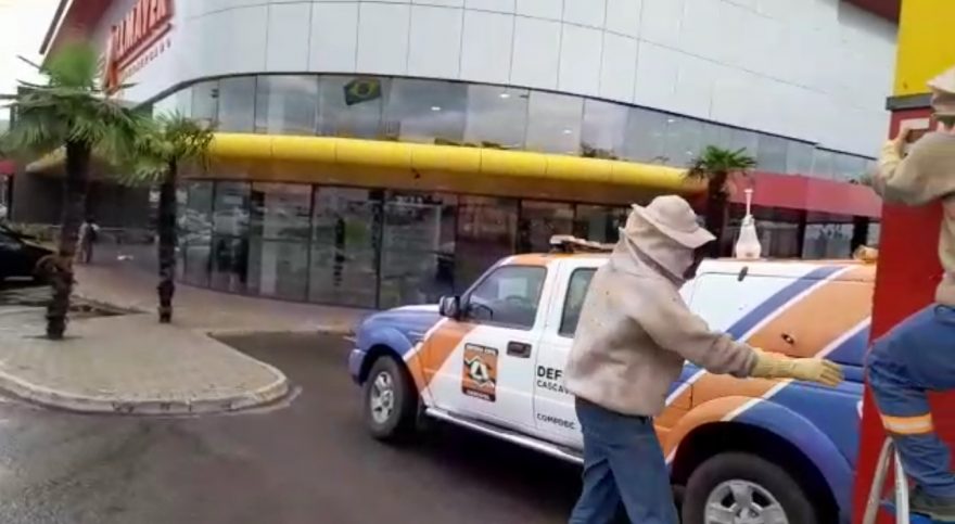 Defesa Civil remove abelhas instaladas no Allmayer