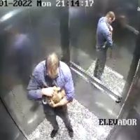 Imagem referente a Médico que espancou cachorro até a morte fez acordo com o Ministério Público