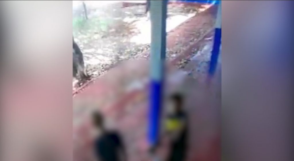 Veja: Adolescentes jogam papel higiênico em câmeras de segurança de Escola