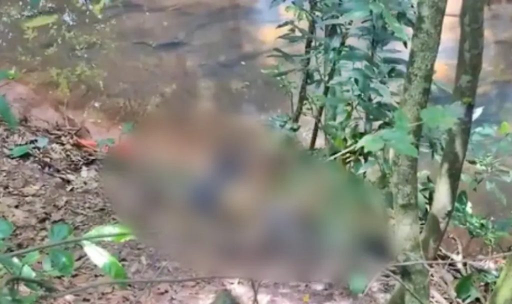 Corpo em estado de decomposição é encontrado no Paraná