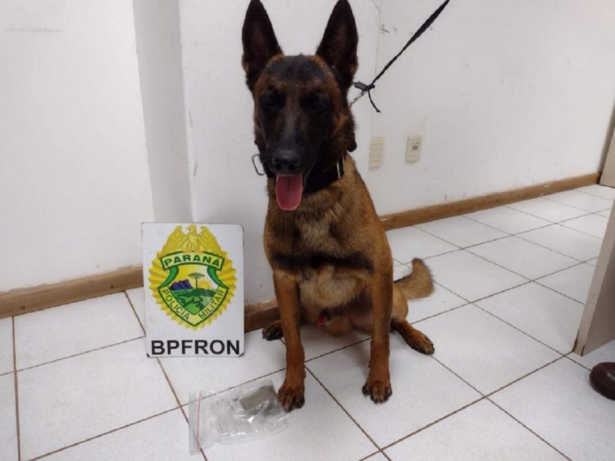 BPFRON apreende droga em ônibus na cidade de Cascavel
