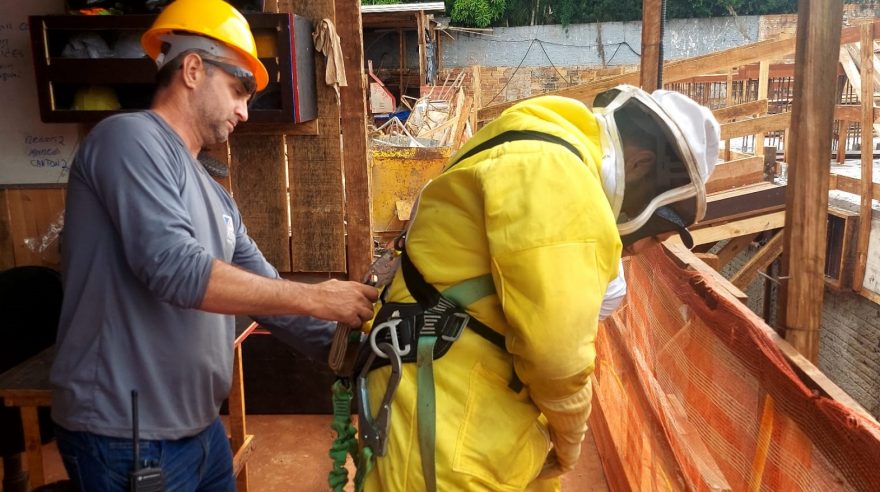 Defesa Civil retira enxame de abelhas de guindaste no Bairro Neva