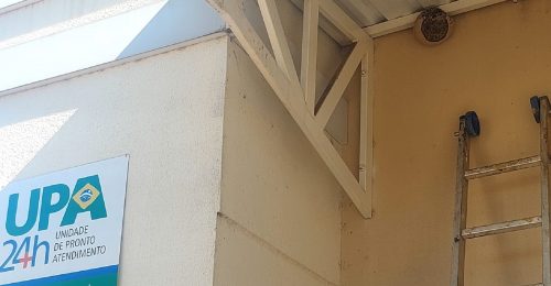 Defesa Civil retira enxame de abelhas na UPA Brasília Imagem referente a Defesa Civil retira enxame de abelhas na UPA Brasília
