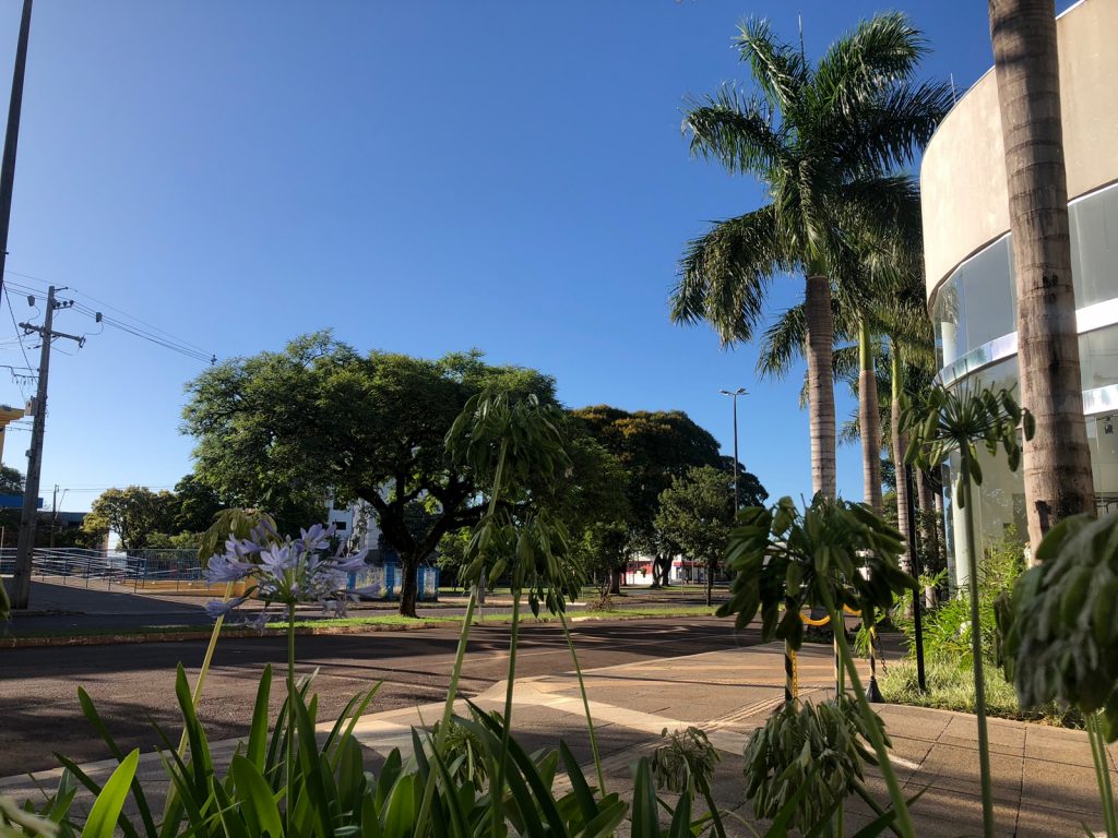 Dia de piscina! Domingão deve ser ensolarado, sem previsão de chuva