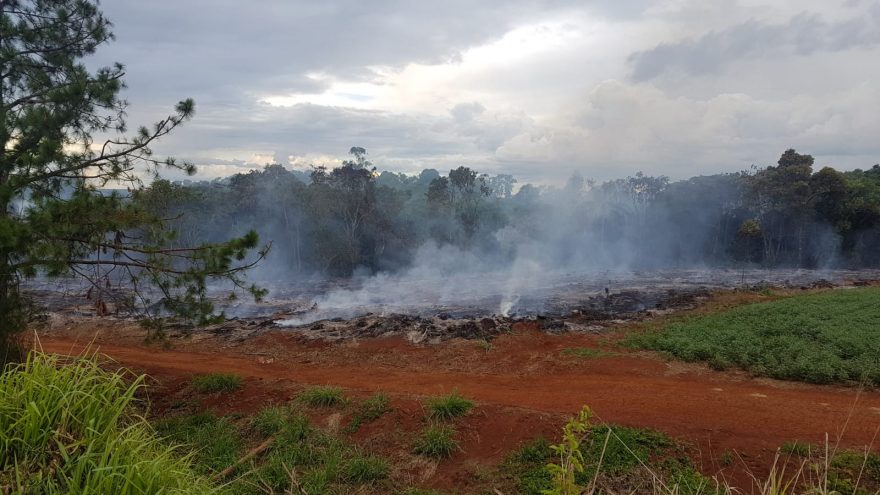 Fumaça em vegetação mobiliza Corpo de Bombeiros na BR-369
