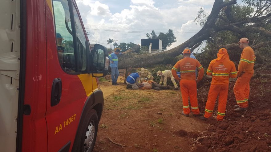 Durante poda de árvore homem é atingido por tronco e precisa ser socorrido
