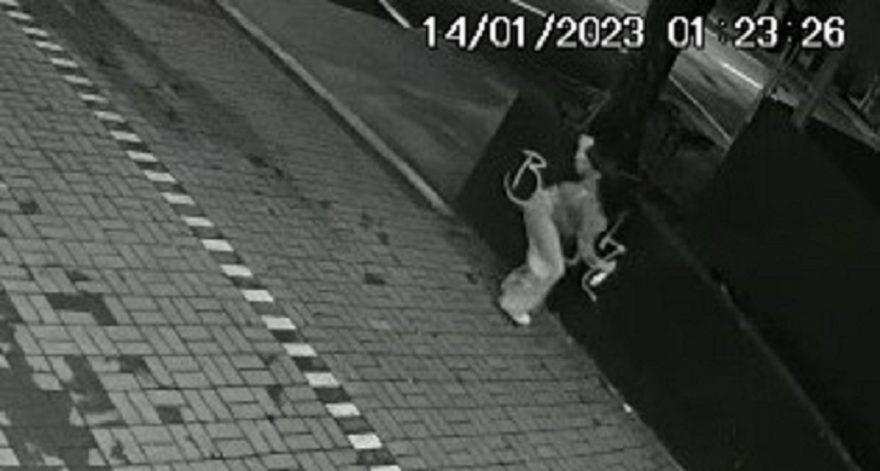 Câmera registra garotas pichando muro no Centro