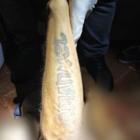 Imagem referente a Tatuagens podem ajudar a identificar homem morto no Interlagos