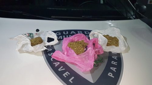 Dupla é detida portando maconha em Cascavel Dupla é detida portando maconha em Cascavel