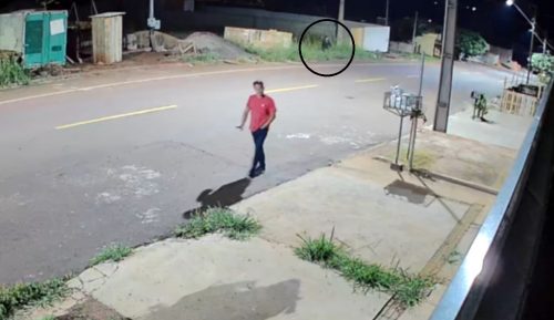 Imagem referente a Homicídio do Florais: Vídeo mostra homem saindo do mato e perseguindo vítima