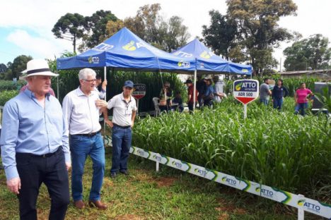 Produshow 2023 reúne tecnologia e novas cultivares em Pitanga Imagem referente a Produshow 2023 reúne tecnologia e novas cultivares em Pitanga