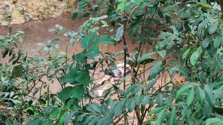 Nelson Pedroso, que estava desaparecido, foi encontrado afogado em riacho no Parque Verde