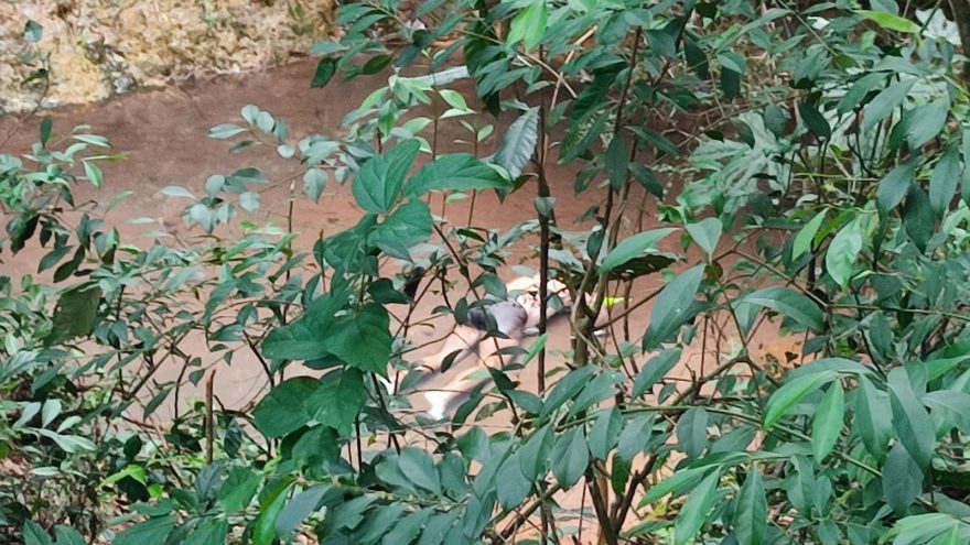 Nelson Pedroso, que estava desaparecido, foi encontrado afogado em riacho no Parque Verde