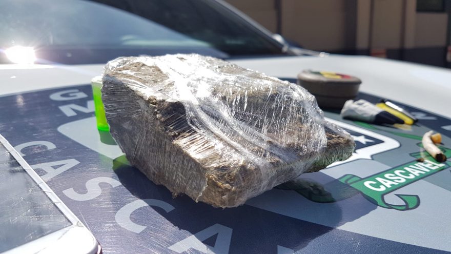 Logo após chegar a Cascavel com drogas, ‘primo’ é detido pela GM com grande tablete de maconha
