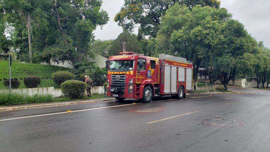 Corpo de Bombeiros é acionado para capturar cobra coral na Área Militar