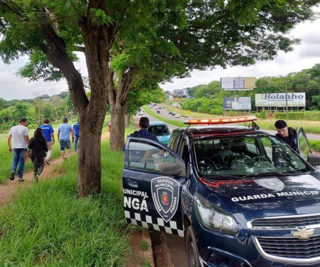 Homem é preso em Maringá pela morte do próprio cachorro e multado em R$ 10 mil Homem é preso em Maringá pela morte do próprio cachorro e multado em R$ 10 mil