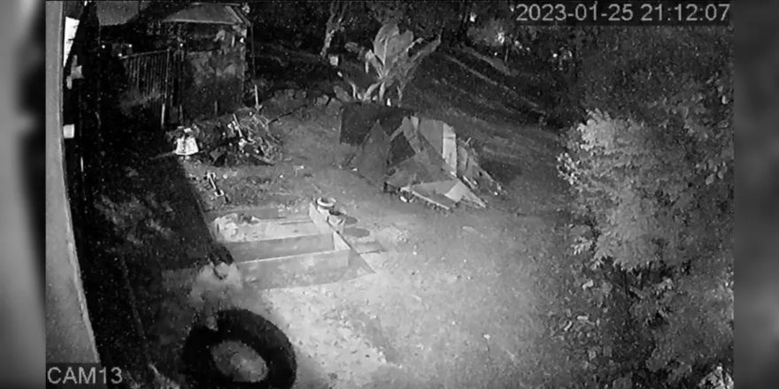 Ladrões furtam transportadora em Ponta Grossa