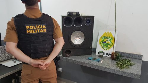 Jovens são detidos por cultivo de maconha e perturbação de sossego