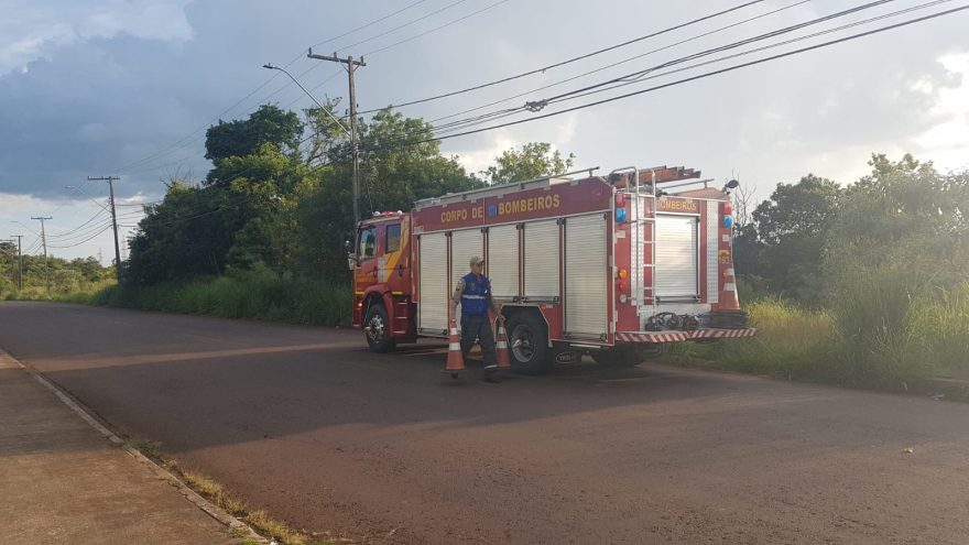Incêndio em vegetação mobiliza brigadistas do Corpo de Bombeiros