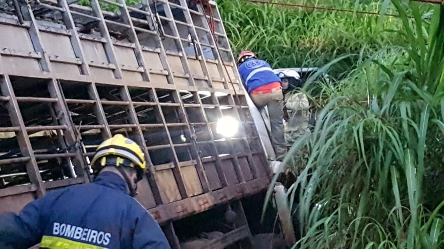Grave colisão entre caminhões deixa dois feridos e carga de carne espalhada pela rodovia BR-277
