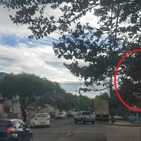 Imagem referente a Placa de PARE escondida e falta de sinalização horizontal contribuem para acidentes na rua da Bandeira